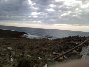 手前にいろいろ　奥に海　やや明るい空