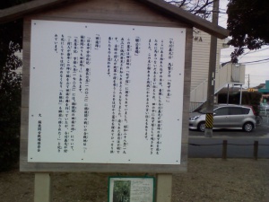 ねずの木に関する説明看板