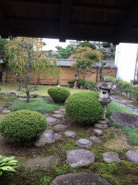 庭 奥に広い。石あり。木あり。芝生あり。