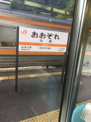 おおぞれえきの駅表札